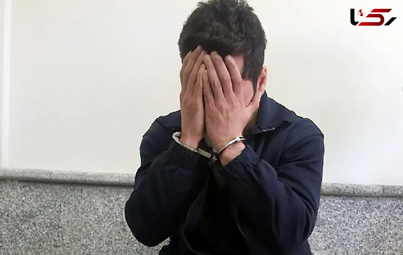 بازداشت یکی از متهمان پرونده ادعای تعرض و سرقت در شمال تهران