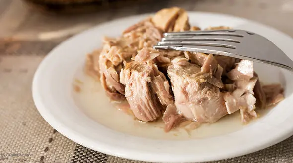 دلایل گرانی کنسرو ماهی اعلام شد