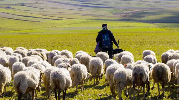 مرزبانان ترکمنستانی چوپان 41 ساله ایرانی را کشتند + جزئیات
