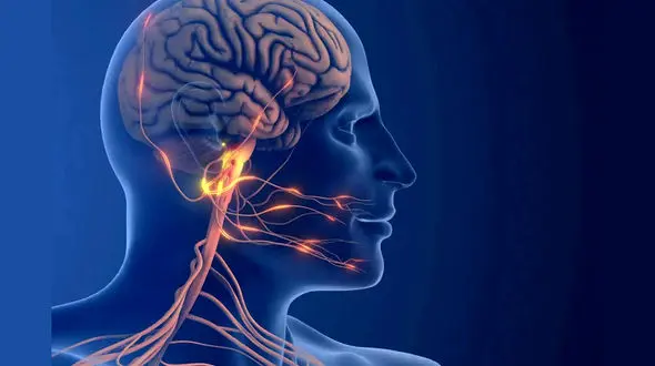 درک تازه‌ ای از دلایل میگرن، مسیر را برای هدف‌ های دارویی جدید باز می‌ کند