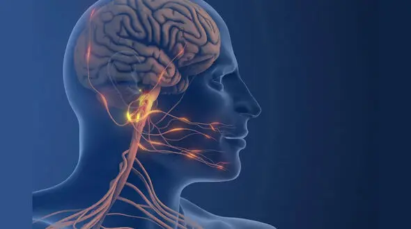 درک تازه‌ ای از دلایل میگرن، مسیر را برای هدف‌ های دارویی جدید باز می‌ کند