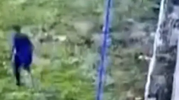 فیلم جالب فرار رئیس مافیای ایتالیایی از زندان فوق امنیتی با استفاده از ملحفه!/ببینید