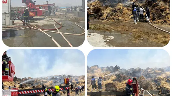 انبار علوفه غرق آتش/ ۴۰ آتش نشان از راه رسیدند!+عکس و فیلم