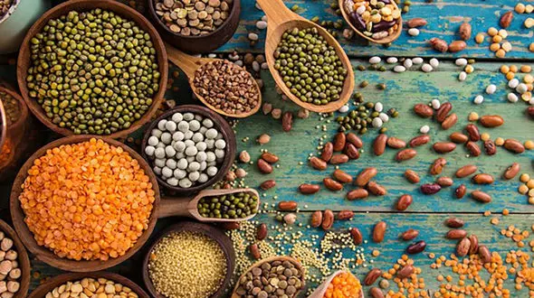 بهبود و تشدید بیماری های مهم با مصرف حبوبات 