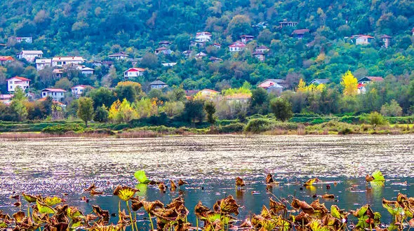 عکس های پاییزی از طبیعت استخر کومله لنگرود