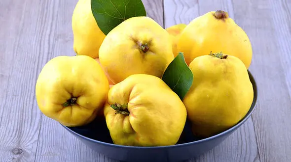 خوشبوترین میوه فصل سرد که شادی آور است