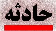 از تصادف با سگ تا سقوط بمب‌ افکن آمریکایی