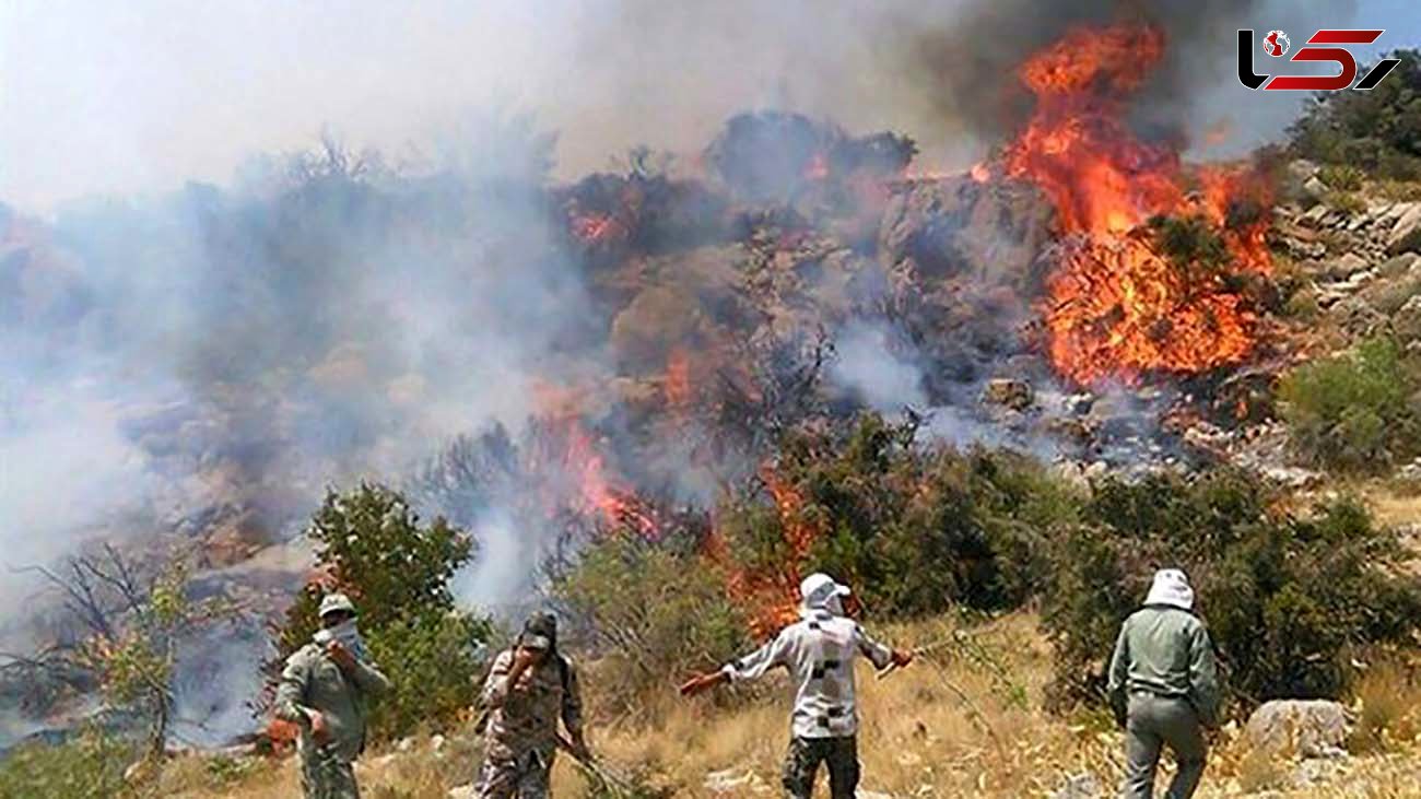 آتش سوزی در اراضی مرتعی و جنگلی مراوه تپه