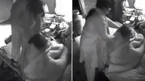 عروس جوان به خاطر کتک زدن مادرشوهرش دستگیر شد+عکس