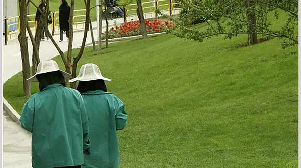 صحنه‌های زشت‌ با حضور 5 پسر در پارک بانوان