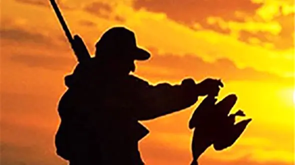 شناسایی خانه پر از کبک در تربت حیدریه / شکارچی های متخلف دستگیر شدند