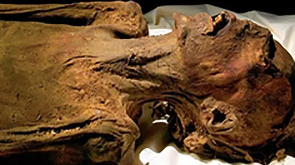 خاک ورامین و کرمان اجساد را مومیایی می کند / راز اجسادی که مومیایی شده و به خارج از ایران انتقال داده می شوند