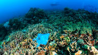 با توافق 200 کشور اقیانوس ها از آلودگی پلاستیکی پاک می شوند