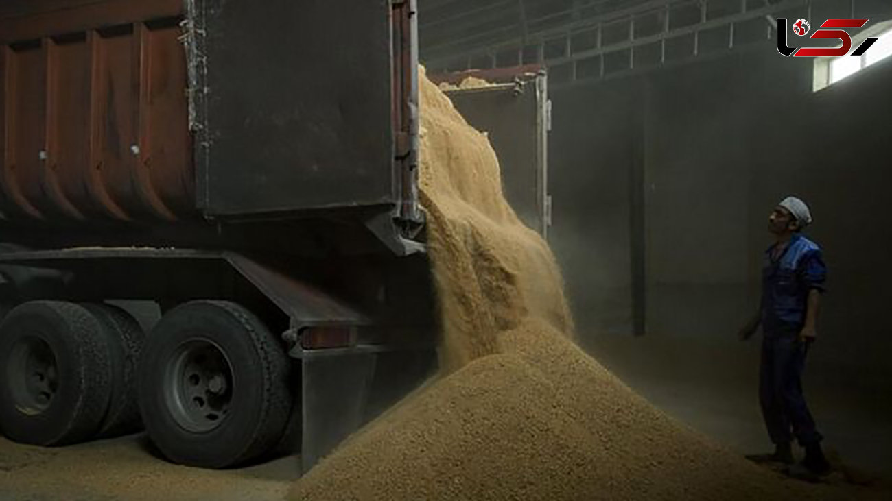 کشف 55 تن گندم فاقد مجوز در خرمبید