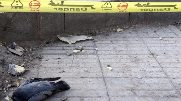 دخترکی به نام نوشین که در کوه ماند تا اینکه ..! + تصاویر