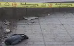 20 عکس پرماجرای زلزله غرب کشور