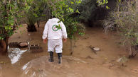 برآورد خسارت سیل بوشهر تا 26 میلیارد تومان