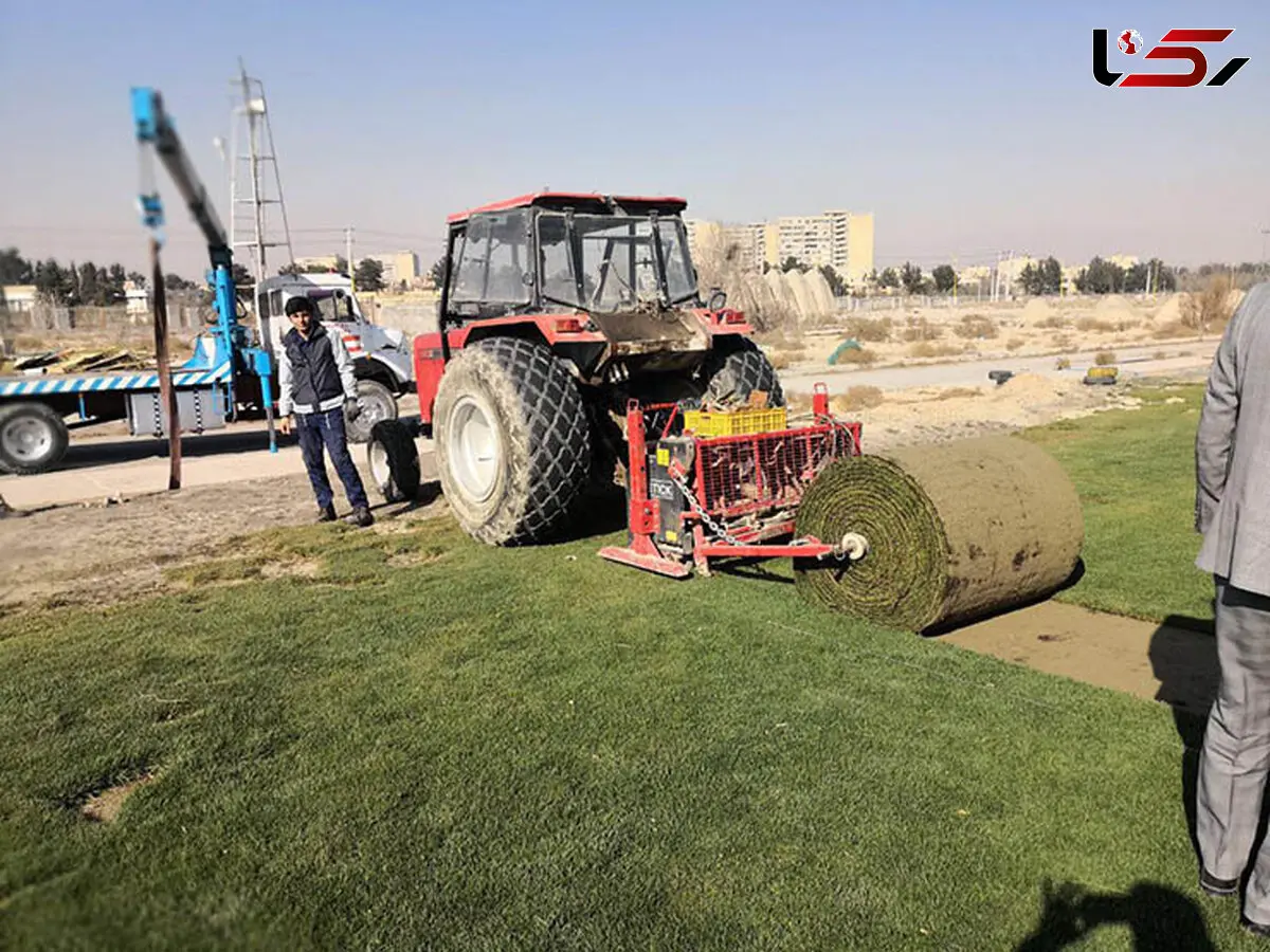 چمن رول‌شده در حال انتقال به فولادشهر + عکس
