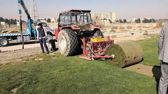 چمن رول‌شده در حال انتقال به فولادشهر + عکس