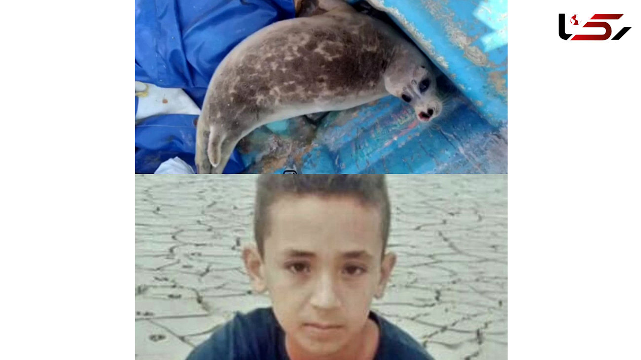 نجات فک خزری 4 ساله‌ به نام "یاسر" توسط نوجوان گلستانی به نام "یاسر" + فیلم و عکس