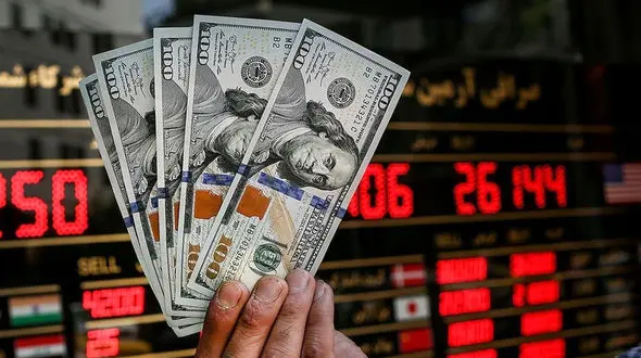 گرداننده یکی از کانال‌های فردایی  دلار در ترکیه / وزیر اقتصاد خبر داد