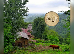 نیت کن و فال حافظ امروز 19 اردیبهشت را بخوان + فیلم