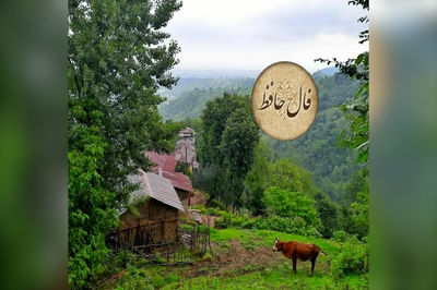 نیت کن و فال حافظ امروز 19 اردیبهشت را بخوان + فیلم