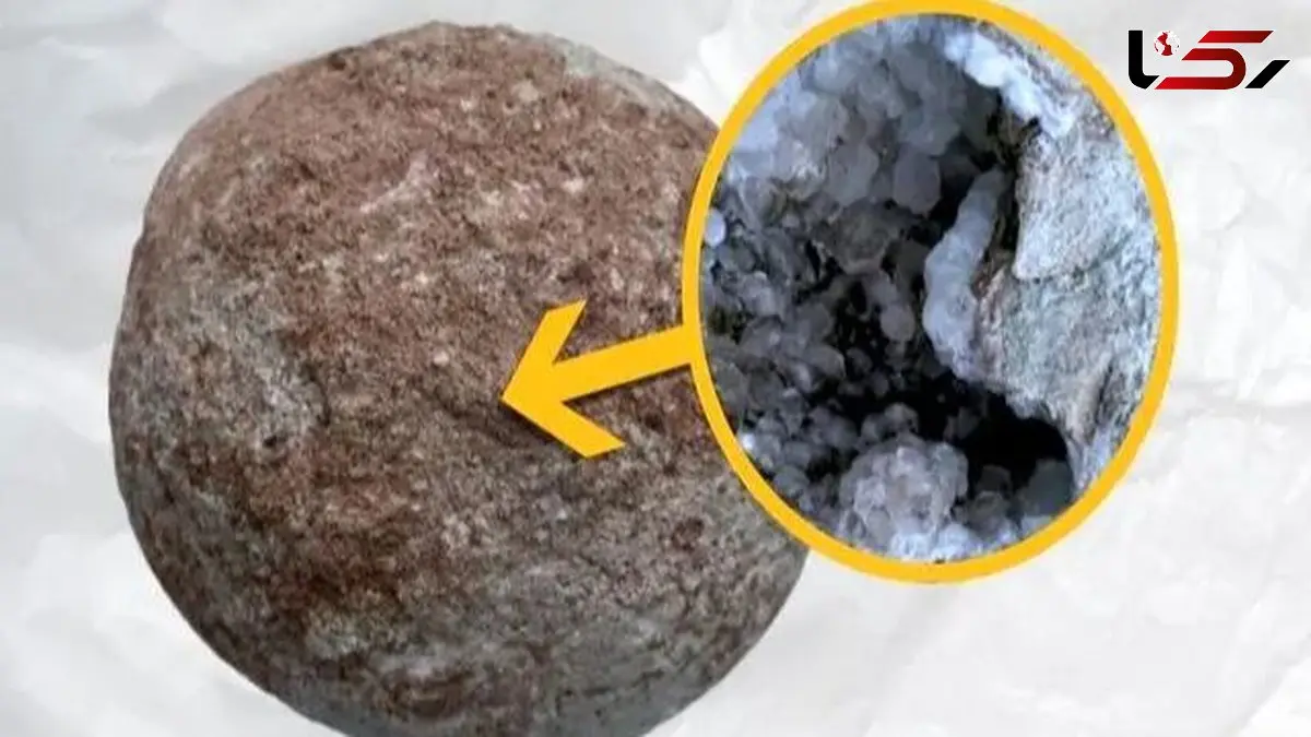 حادثه‌ ای در دیرینه‌ شناسی: چگونه تخم دایناسور 70 میلیون ساله به گنجینه بلور تبدیل شد؟