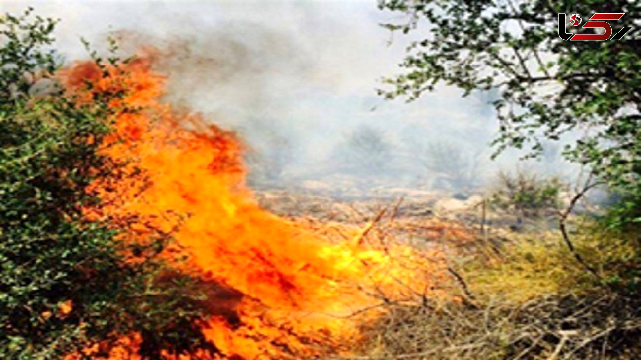 آتش سوزی در جنگل‌های گردنه ایواندره خرم آباد