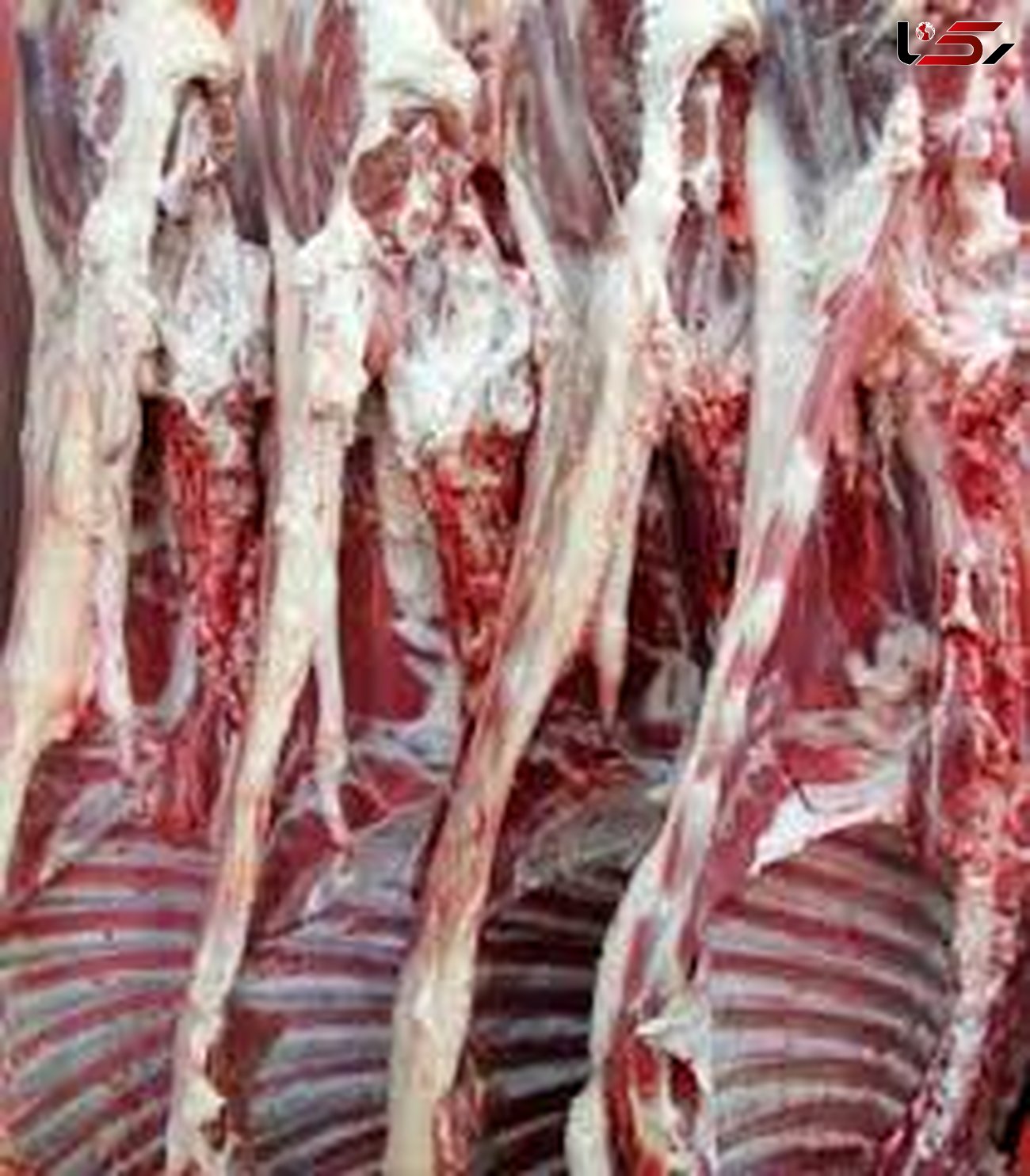 نرخ انواع گوشت گوسفند و گوساله در بازار