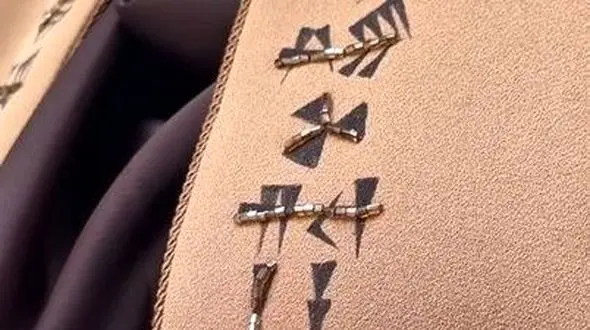 فیلم/ خلاقیت تحسین برانگیز دختر هنرمند ایرانی برای طراحی مانتو با طرح منشور کوروش حماسه آفرید