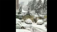 ببینید / بارش زیبای برف در آستارا + فیلم