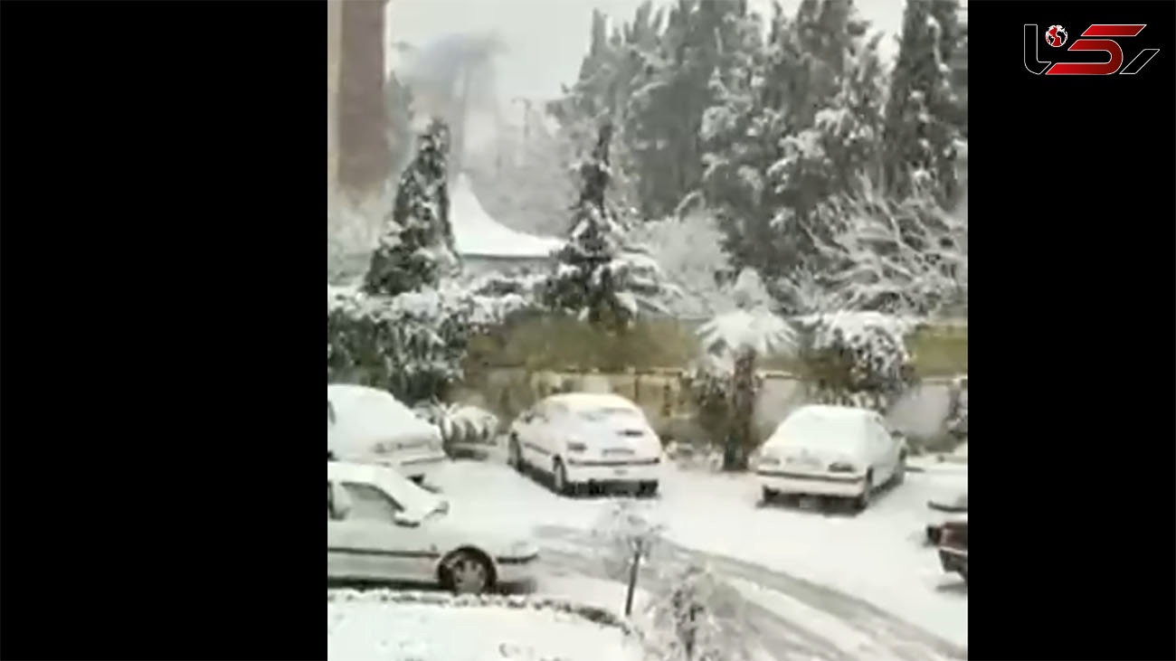 ببینید / بارش زیبای برف در آستارا + فیلم