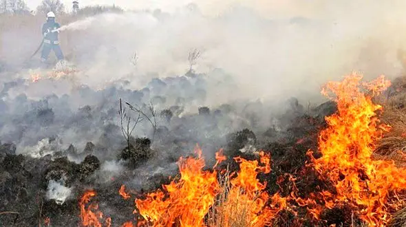 ابیانه در آتش / باغ های ابیانه کاملا در آتش‌سوزی امروز از بین رفت!