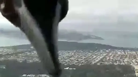 اتفاقی جالب در پخش زنده گزارش هواشناسی+فیلم