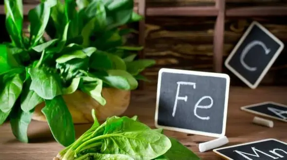 خوراکی های سرشار از آهن که سلامتی را بیمه می کنند