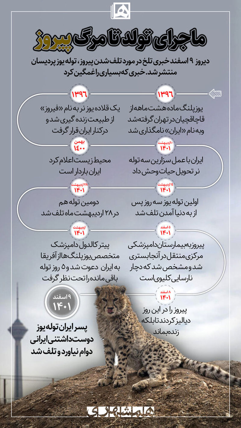 اینفوگرافی تولد تا مرگ پیروز