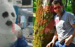 مرد همسایه پارچ پارچ اسید به زن و شوهر جوان پاشید! /در آمل رخ داد + عکس 