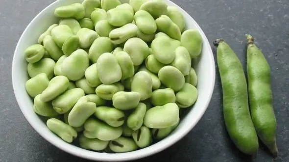 خواص ناشناخته باقالی سبز