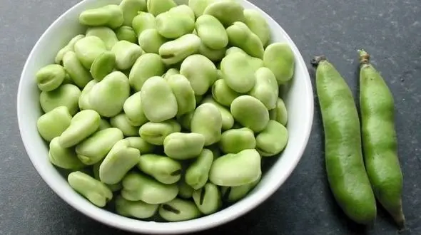 خواص ناشناخته باقالی سبز