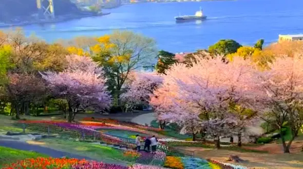 از زیبایی پارک هینویاما در ژاپن تا آبشار گزافرمرند در آذربایجان شرقی 