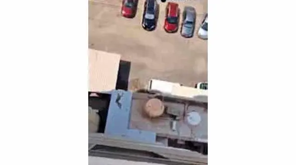 بی رحمی یک زن هنگام سقوط زنی دیگر! + جزییات