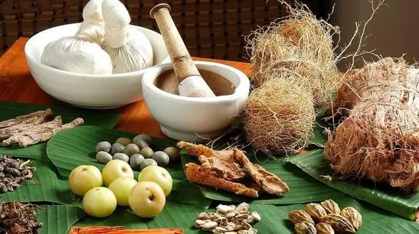 با این گیاه دارویی با کچلی خداحافظی کنید