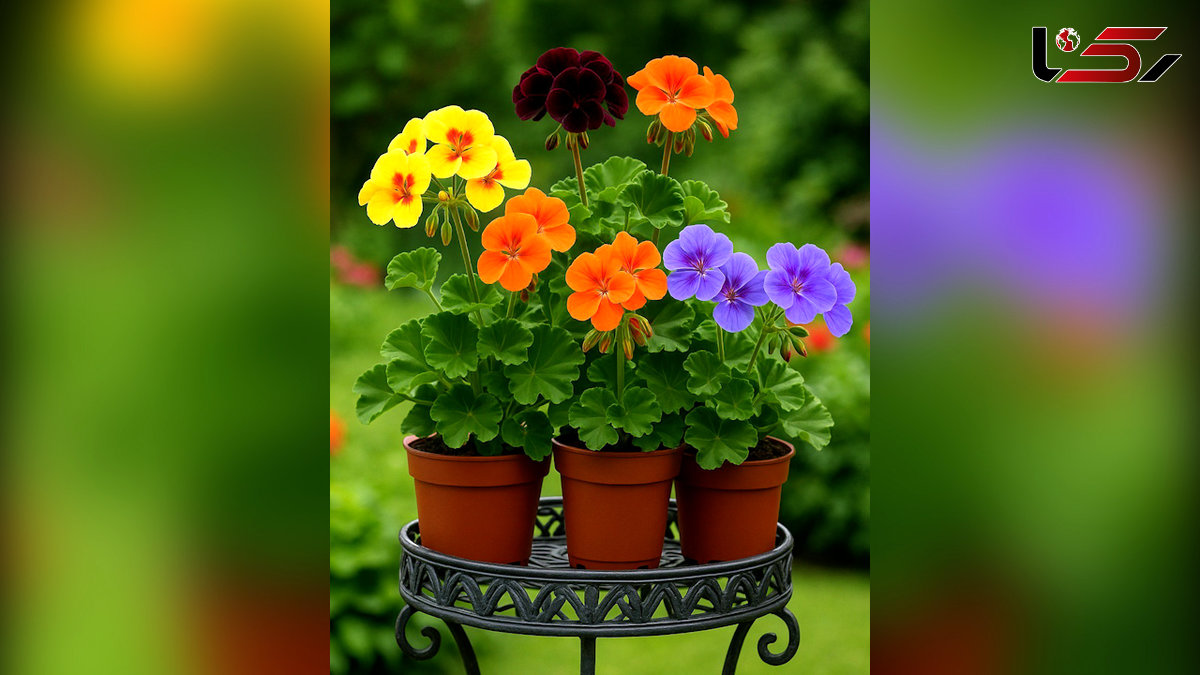 تعبیر فال ابجد امروز 18 خرداد 