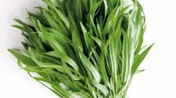 خوشمزه ترین سبزی برای مصون ماندن از بیماری ها