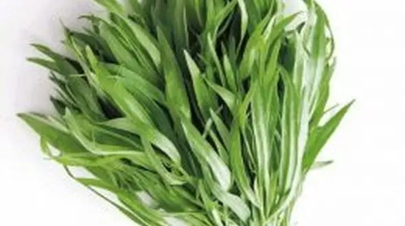 خوشمزه ترین سبزی برای مصون ماندن از بیماری ها