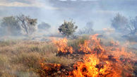 جنگل‌های کوهدشت همچنان در آتش می‌سوزد