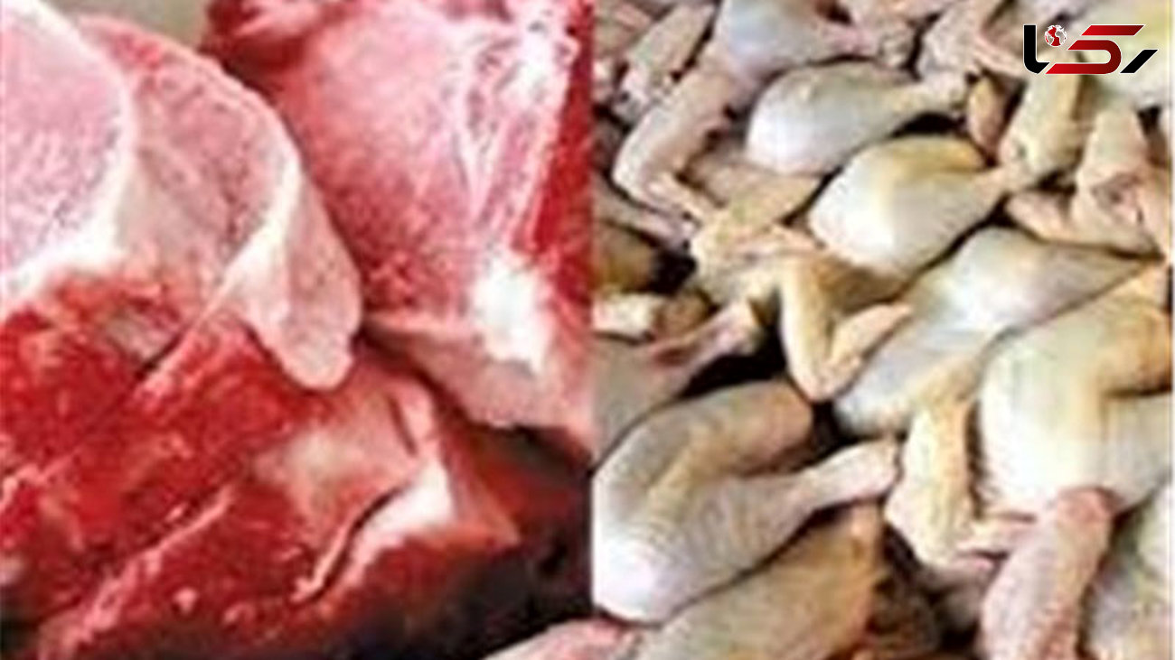 واردات ۵۰ هزار رأس دام زنده تا پایان هفته/ ۲۶۰ شرکت وارد کننده گوشت قرمز هستند