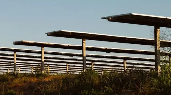 داستان جالب هدیه‌ای که آمریکا به چین تقدیم کرد