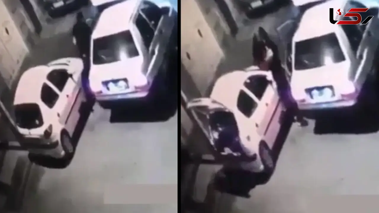 سرقت از پژو ۲۰۶ در عرض چند ثانیه + فیلم